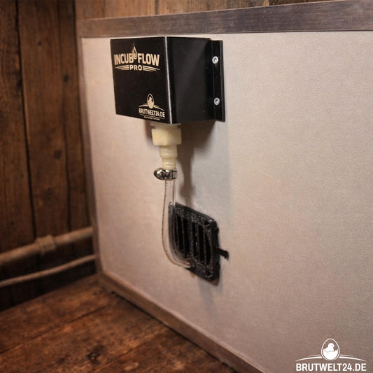 INCUBE FLOW PRO – Externe Wasserlösung für Inkubatoren