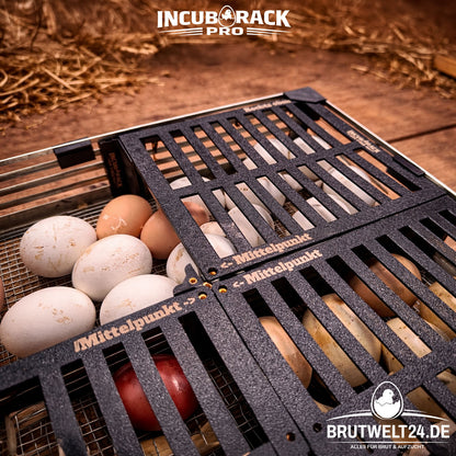 2x Set Incub Rack PRO Trennsystem für Brutautomaten